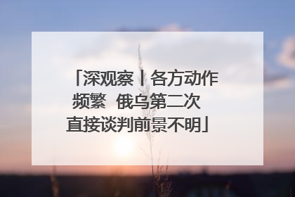 深观察丨各方动作频繁  俄乌第二次直接谈判前景不明