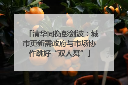 清华同衡彭剑波：城市更新需政府与市场协作跳好“双人舞”