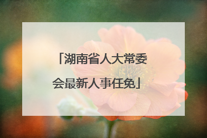 湖南省人大常委会最新人事任免
