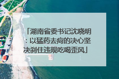湖南省委书记沈晓明：以猛药去疴的决心坚决刹住违规吃喝歪风