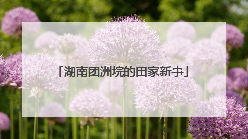 湖南团洲垸的田家新事