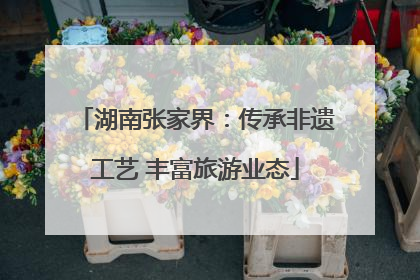 湖南张家界：传承非遗工艺 丰富旅游业态