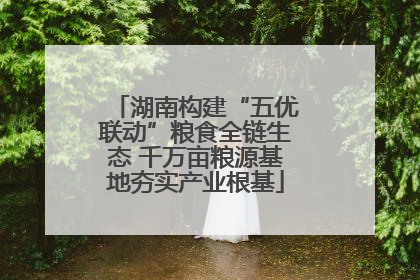湖南构建“五优联动”粮食全链生态 千万亩粮源基地夯实产业根基