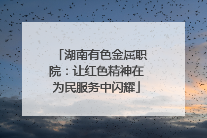湖南有色金属职院：让红色精神在为民服务中闪耀