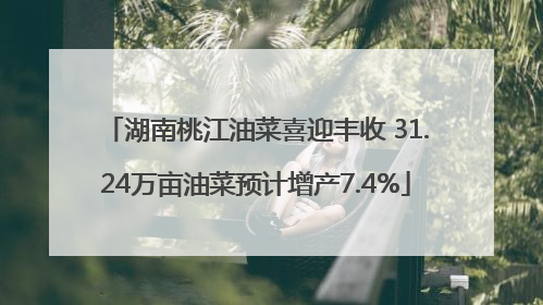 湖南桃江油菜喜迎丰收 31.24万亩油菜预计增产7.4%