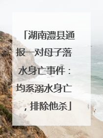 湖南澧县通报一对母子落水身亡事件：均系溺水身亡，排除他杀