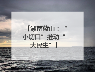 湖南蓝山：“小切口”推动“大民生”