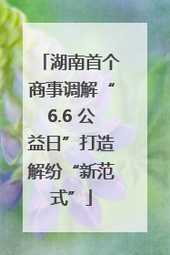 湖南首个商事调解“6.6 公益日”打造解纷“新范式”