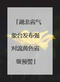 湖北省气象台发布强对流黄色省级预警