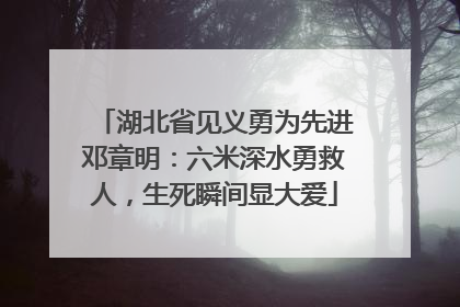 湖北省见义勇为先进邓章明：六米深水勇救人，生死瞬间显大爱