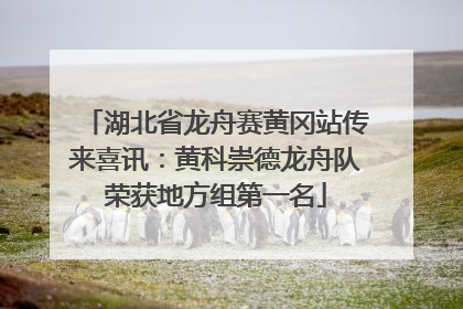 湖北省龙舟赛黄冈站传来喜讯：黄科崇德龙舟队荣获地方组第一名