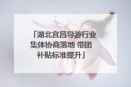 湖北宜昌导游行业集体协商落地 带团补贴标准提升