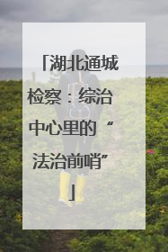 湖北通城检察：综治中心里的“法治前哨”