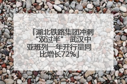 湖北铁路集团冲刺“双过半” 武汉中亚班列一年开行量同比增长72%