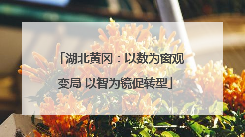 湖北黄冈：以数为窗观变局 以智为镜促转型