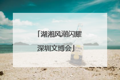 湖湘风潮闪耀深圳文博会