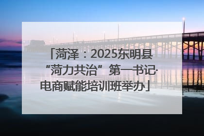 菏泽：2025东明县“菏力共治”第一书记·电商赋能培训班举办