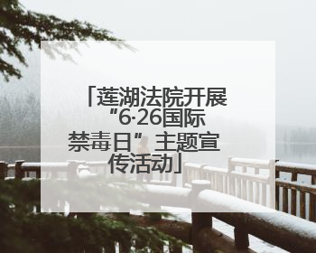 莲湖法院开展“6·26国际禁毒日”主题宣传活动