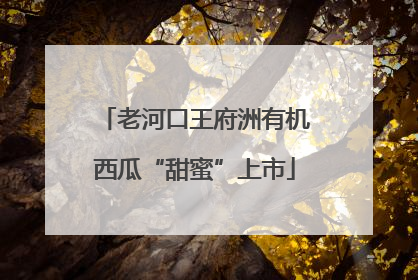 老河口王府洲有机西瓜“甜蜜”上市
