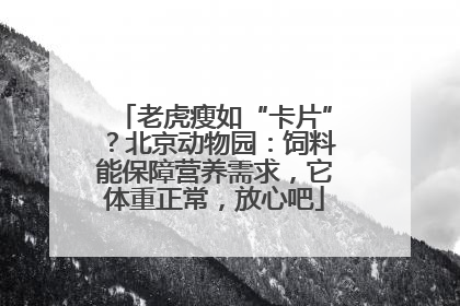 老虎瘦如“卡片”？北京动物园：饲料能保障营养需求，它体重正常，放心吧