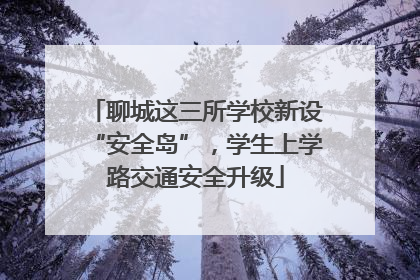 聊城这三所学校新设“安全岛”，学生上学路交通安全升级
