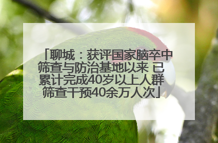 聊城：获评国家脑卒中筛查与防治基地以来 已累计完成40岁以上人群筛查干预40余万人次