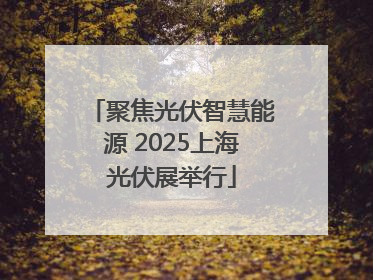 聚焦光伏智慧能源 2025上海光伏展举行