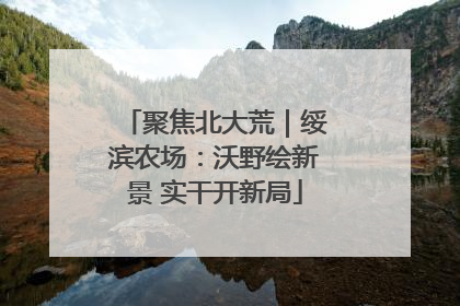 聚焦北大荒｜绥滨农场：沃野绘新景 实干开新局