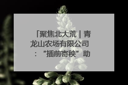 聚焦北大荒｜青龙山农场有限公司：“插前寄秧”助力农业节本增效