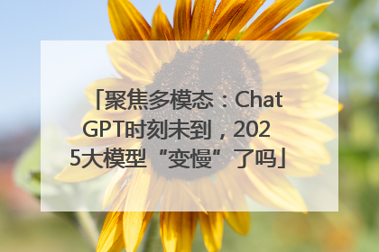 聚焦多模态：ChatGPT时刻未到，2025大模型“变慢”了吗