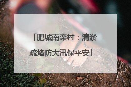 肥城南栾村：清淤疏堵防大汛保平安