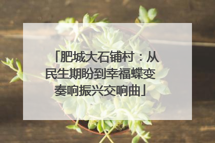 肥城大石铺村：从民生期盼到幸福蝶变奏响振兴交响曲