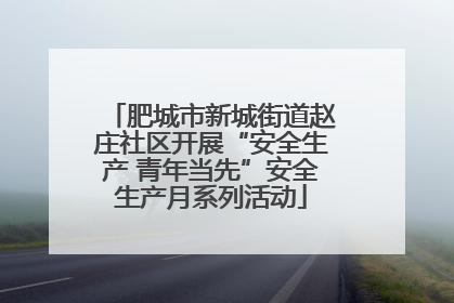 肥城市新城街道赵庄社区开展“安全生产 青年当先”安全生产月系列活动