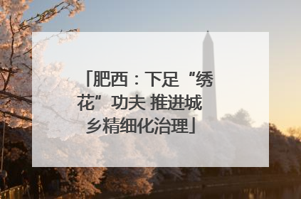 肥西：下足“绣花”功夫 推进城乡精细化治理