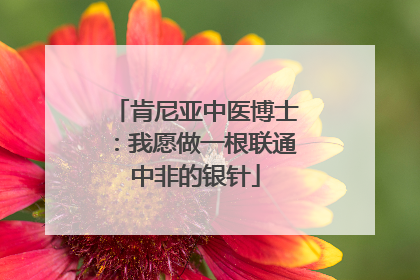肯尼亚中医博士：我愿做一根联通中非的银针