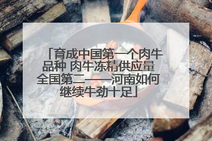 育成中国第一个肉牛品种 肉牛冻精供应量全国第二——河南如何继续牛劲十足
