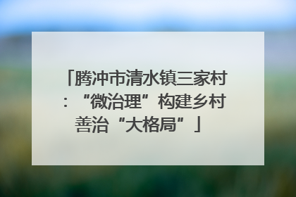 腾冲市清水镇三家村：“微治理”构建乡村善治“大格局”