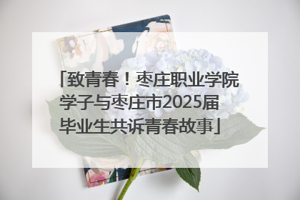 致青春！枣庄职业学院学子与枣庄市2025届毕业生共诉青春故事