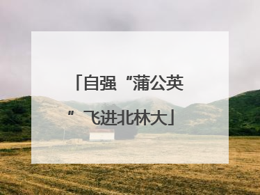 自强“蒲公英”飞进北林大