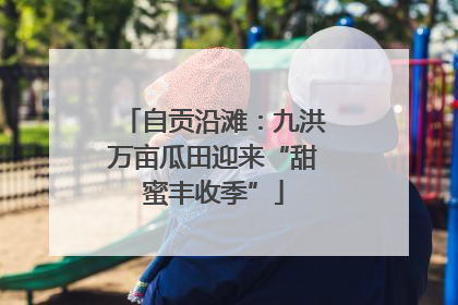 自贡沿滩：九洪万亩瓜田迎来“甜蜜丰收季”