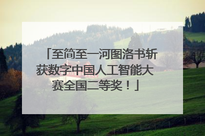 至简至一河图洛书斩获数字中国人工智能大赛全国二等奖！