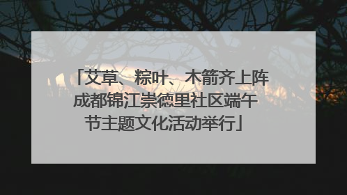 艾草、粽叶、木箭齐上阵 成都锦江崇德里社区端午节主题文化活动举行