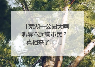 芜湖一公园大喇叭辱骂遛狗市民？真相来了……
