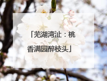 芜湖湾沚：桃香满园醉枝头