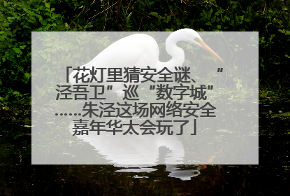 花灯里猜安全谜、“泾吾卫”巡“数字城”……朱泾这场网络安全嘉年华太会玩了