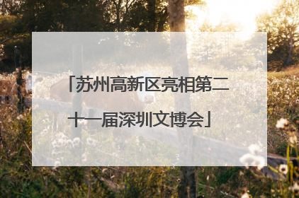 苏州高新区亮相第二十一届深圳文博会