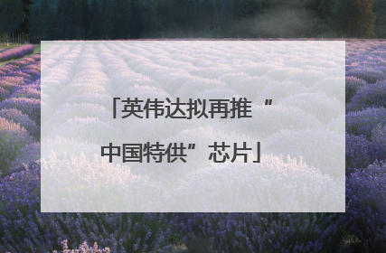 英伟达拟再推“中国特供”芯片