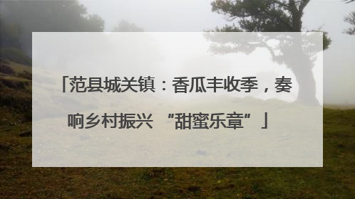 范县城关镇：香瓜丰收季，奏响乡村振兴 “甜蜜乐章”