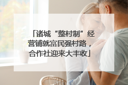 诸城“整村制”经营铺就富民强村路，合作社迎来大丰收