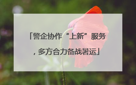 警企协作“上新”服务，多方合力备战暑运